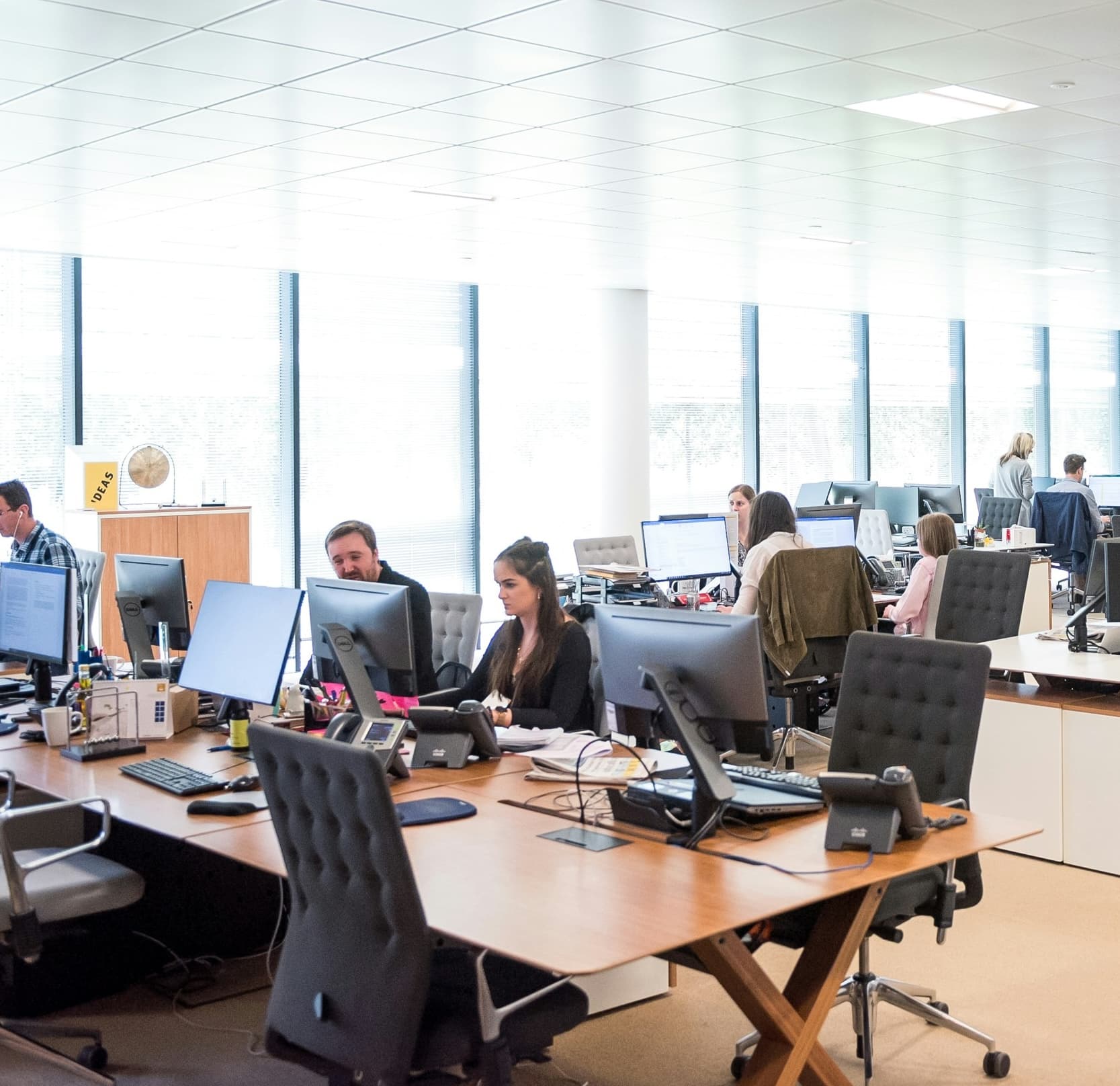 Office Workplace Compliance